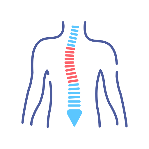 Spine & Posture Rehabilitation